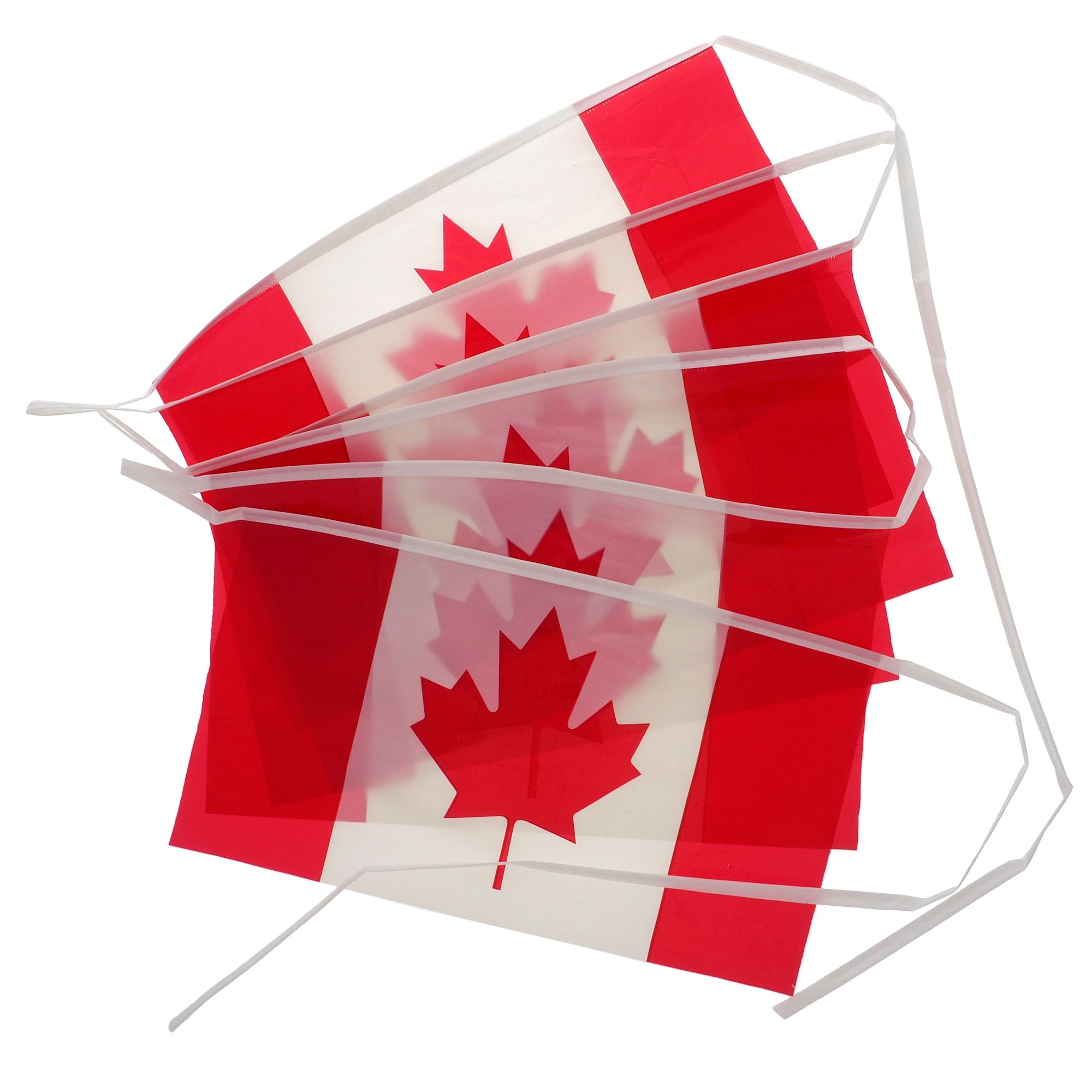 Canada Flag Banner Dollarama